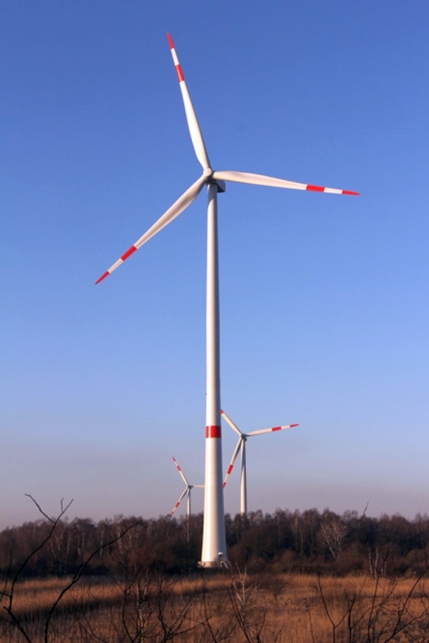 Thermografische Detektion und Analyse von Schäden an  Rotorblattvorderkanten von Windenergieanlagen